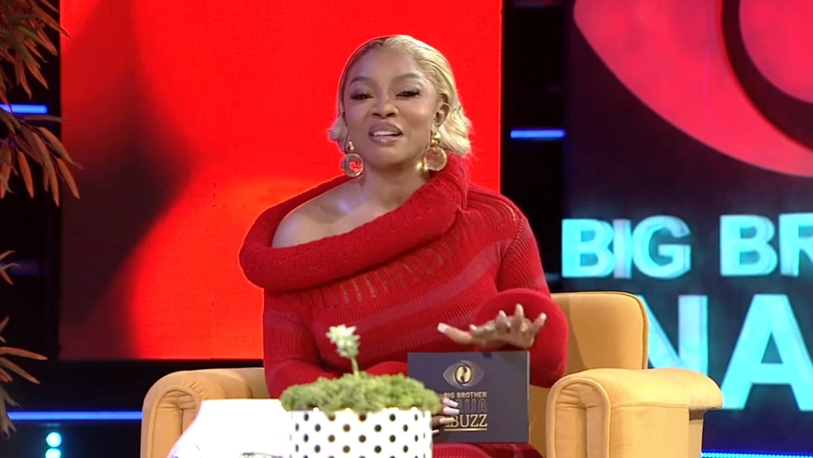 BBNaija S9: The Buzz is now on Showmax