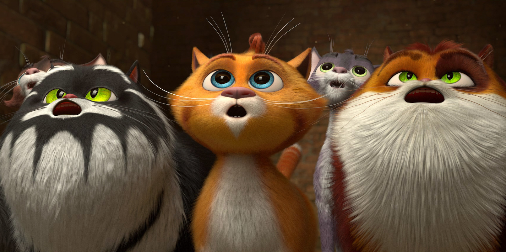 Cats in the Museum on Showmax
