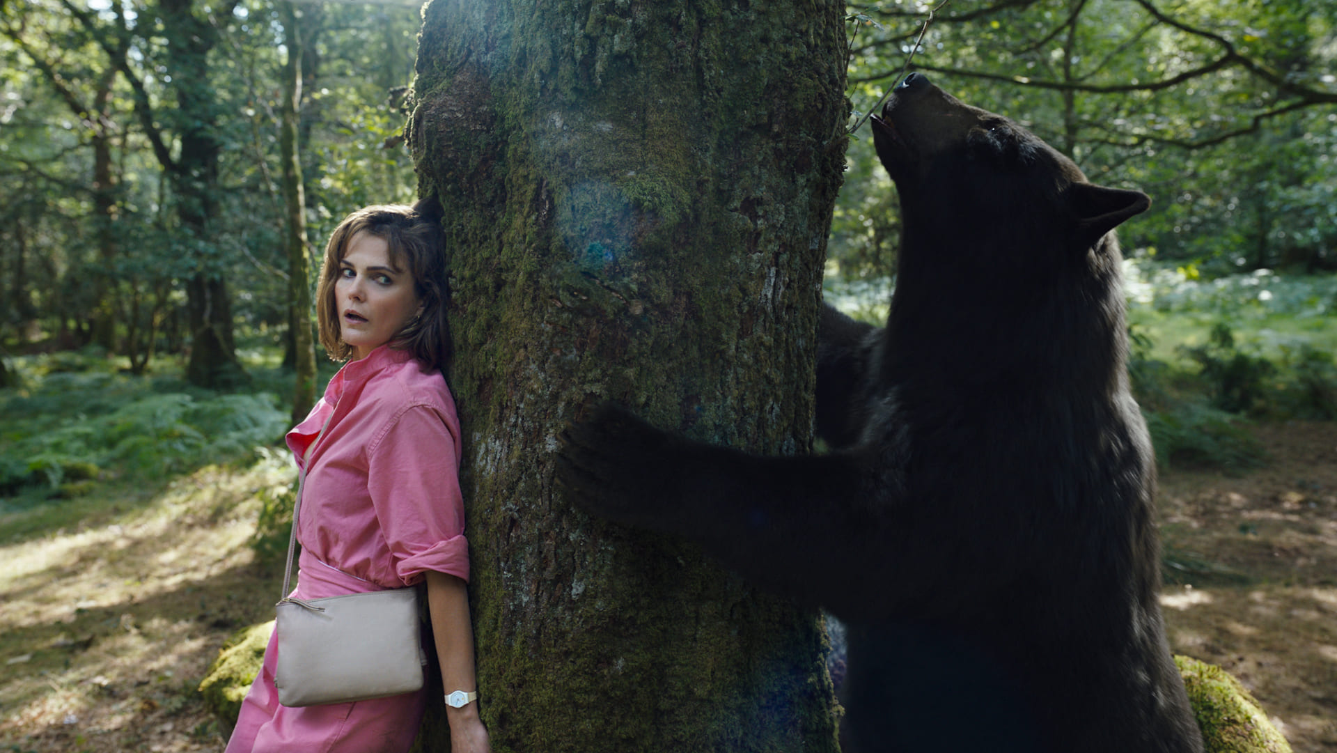 Cocaine Bear is on Showmax