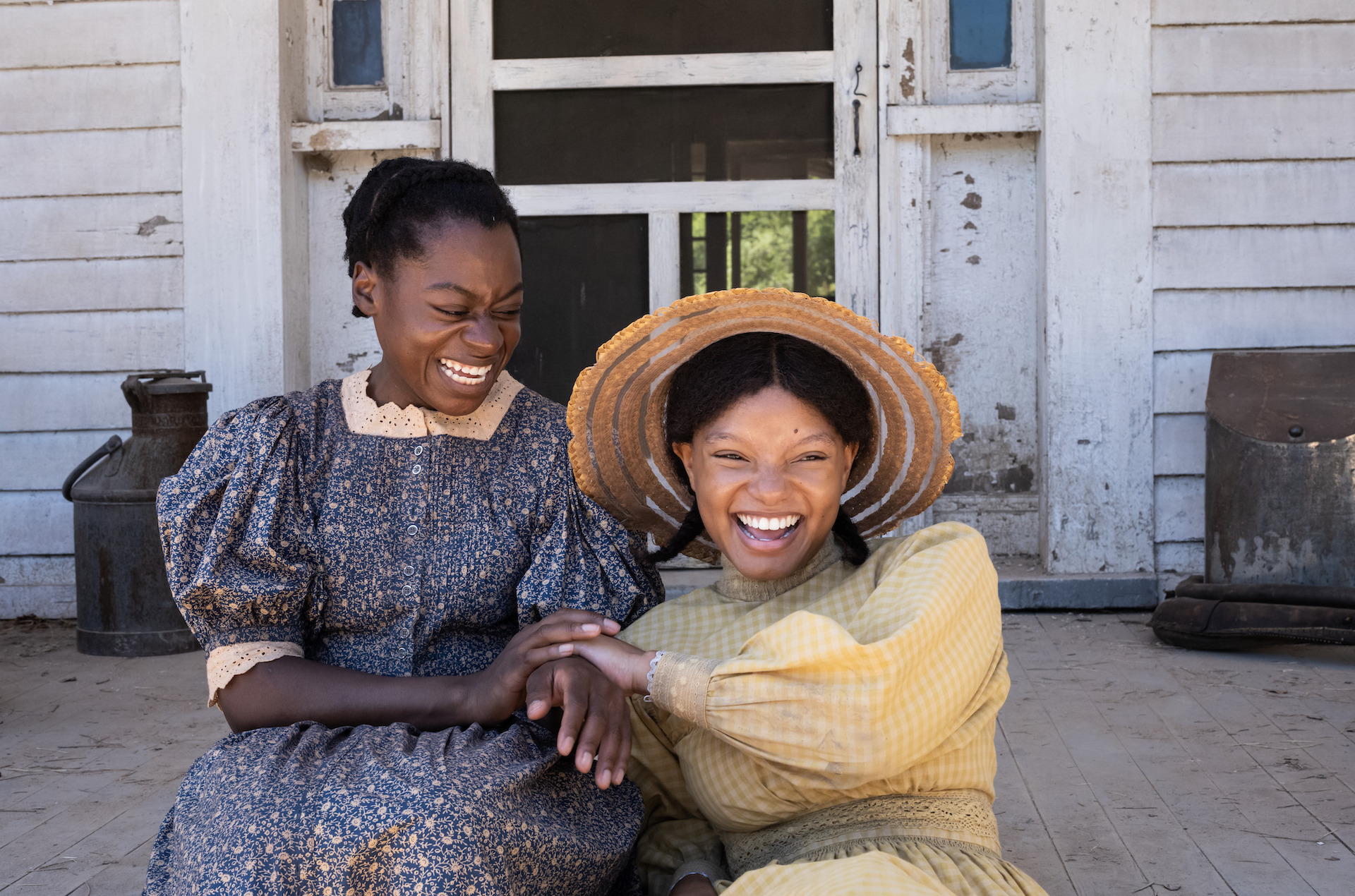 The Color Purple on Showmax