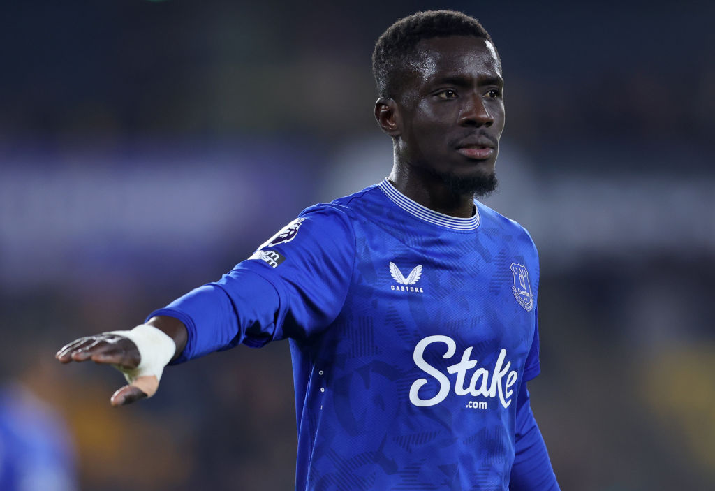 Wolverhampton Wanderers FC v Everton FC - Premier League