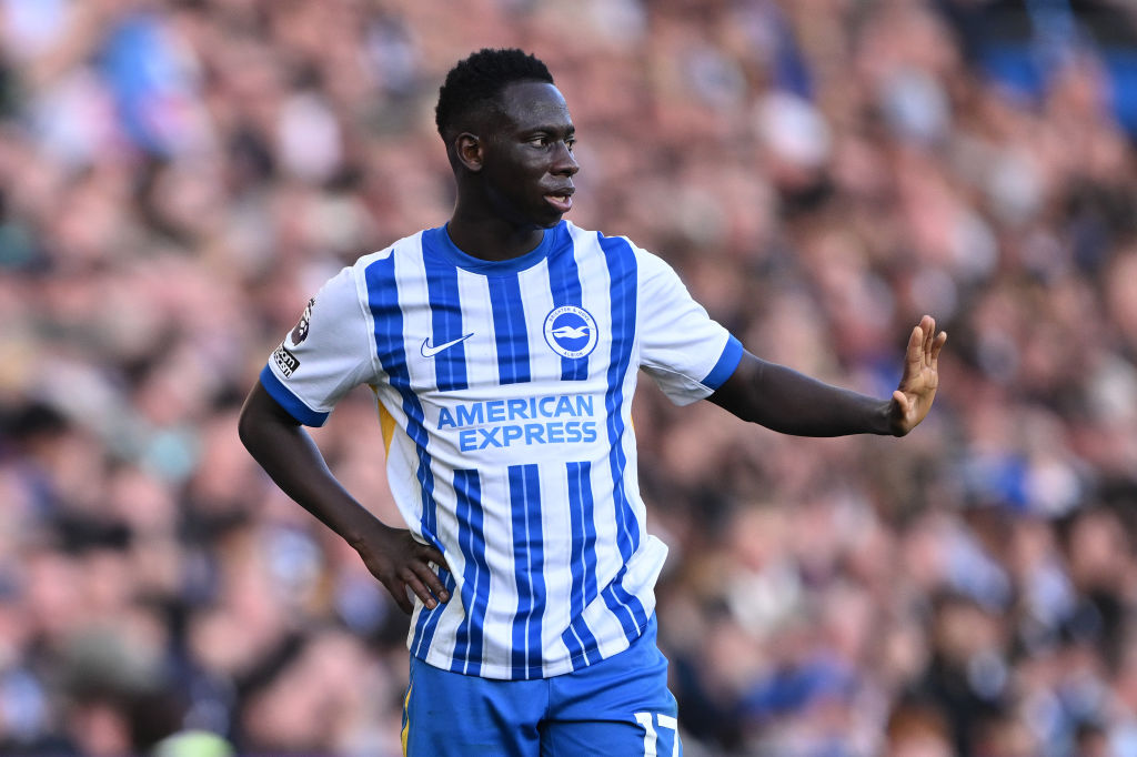 Brighton &amp; Hove Albion FC v Fulham FC - Premier League