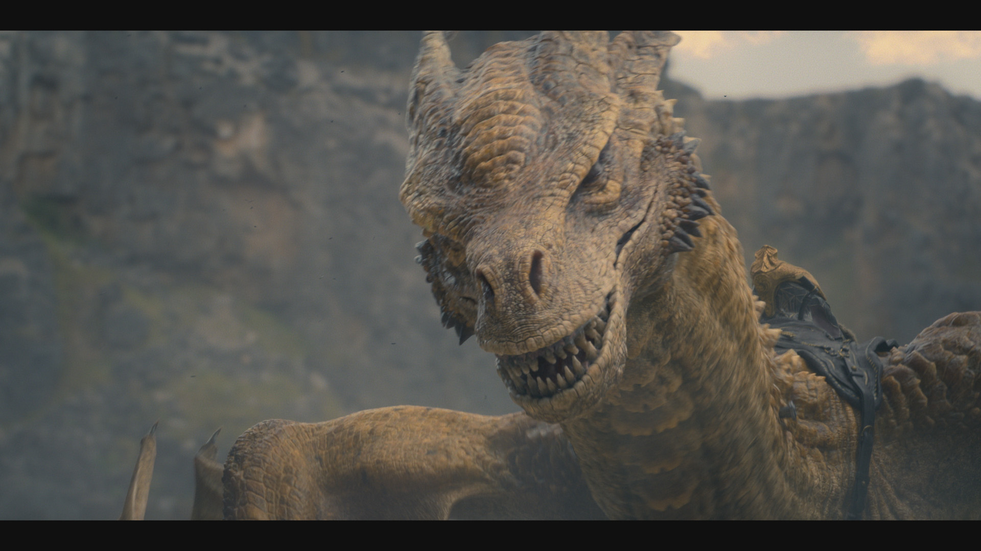 House of the Dragon is on Showmax