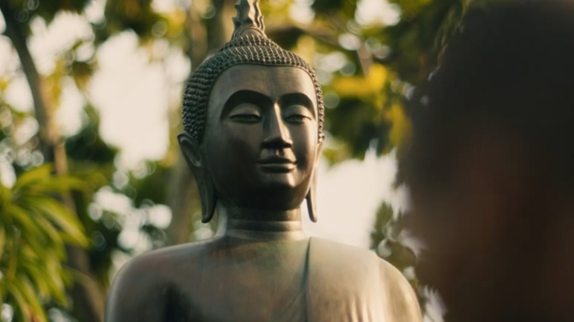 The White Lotus on Showmax