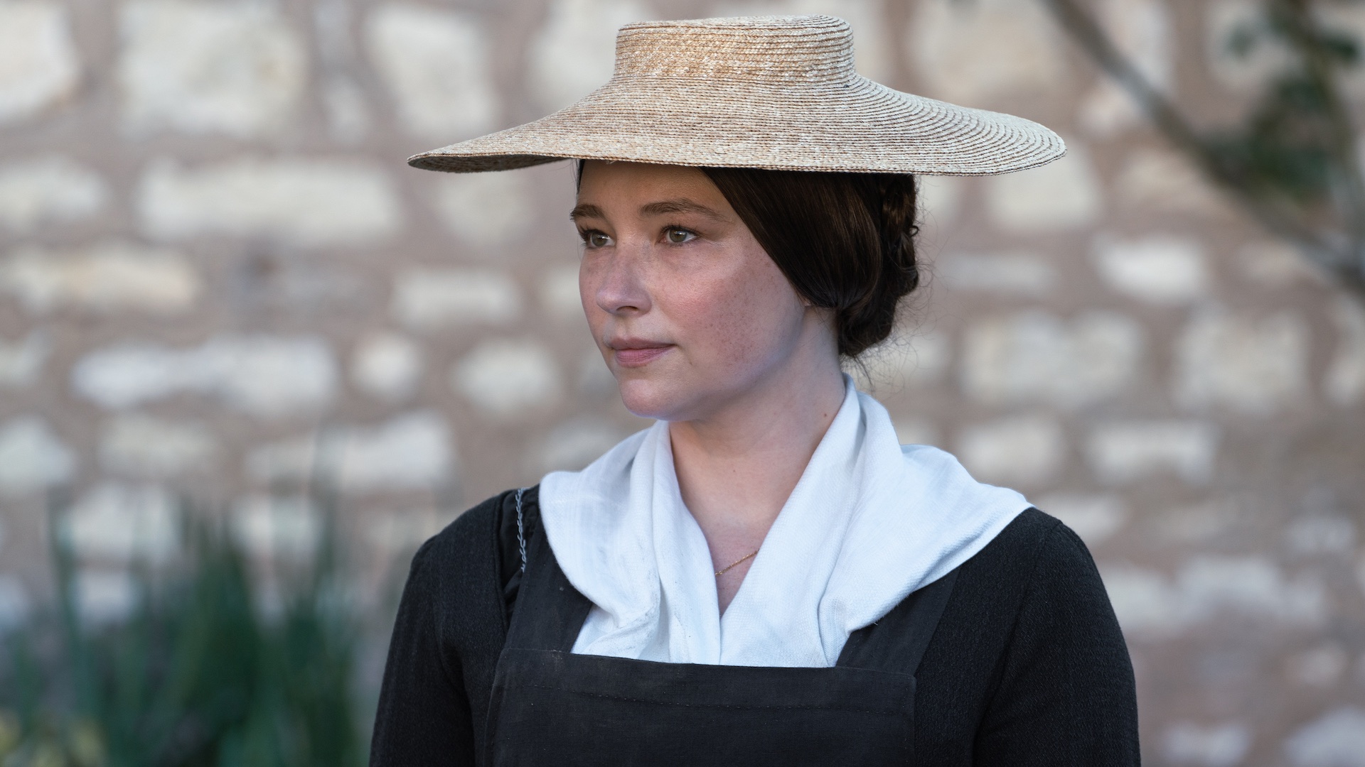 Widow Cliquot on Showmax