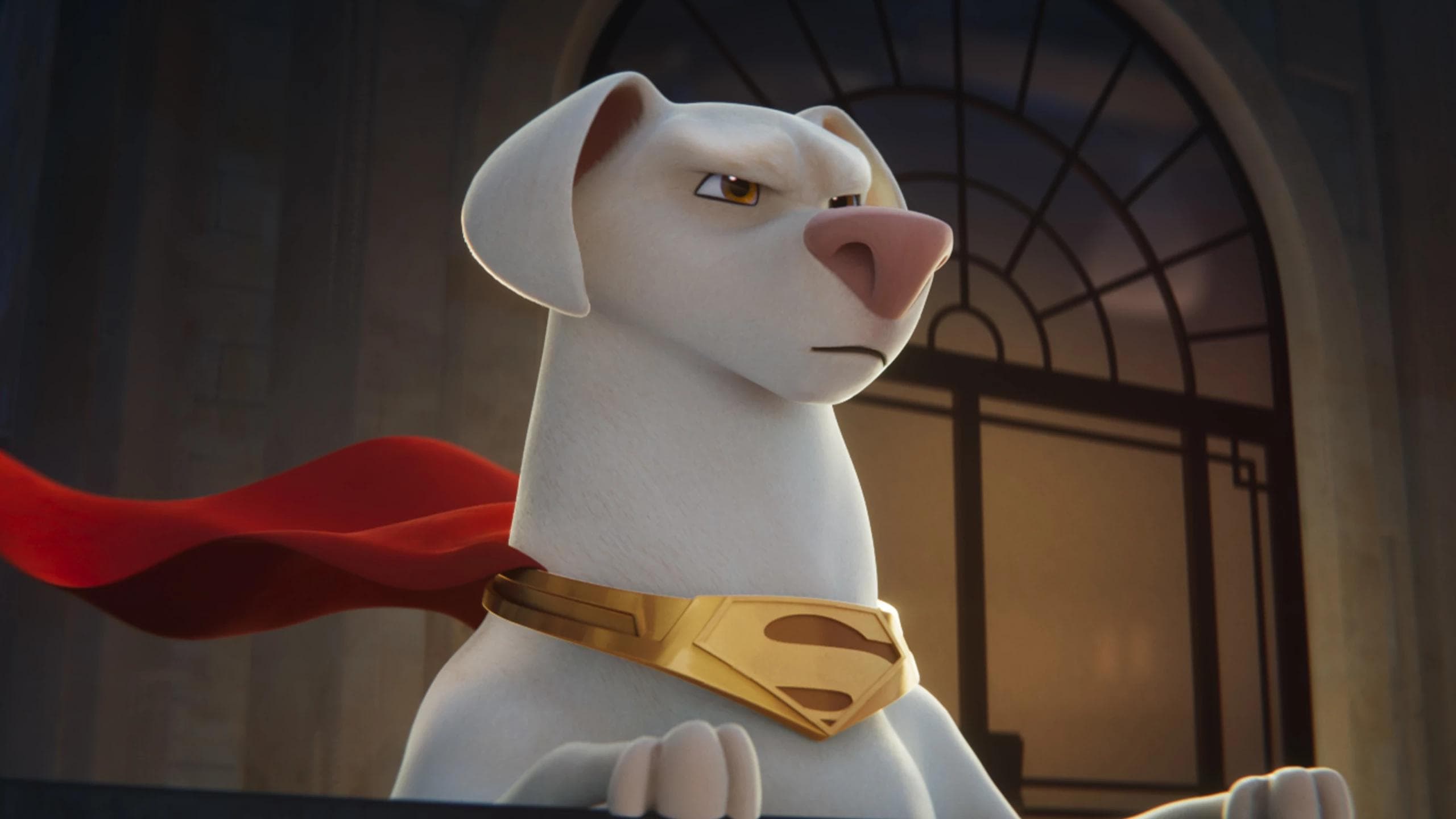 DC League of Super Pets on Showmax