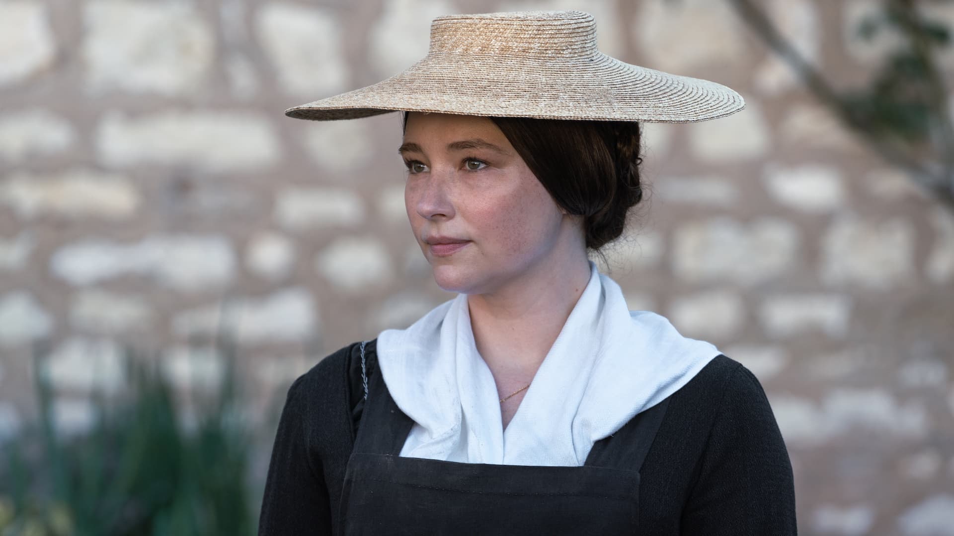 Widow Cliquot on Showmax