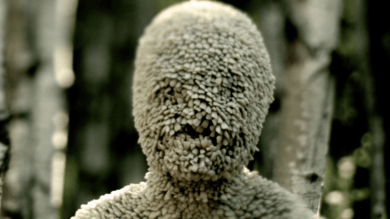 Channel Zero on Showmax