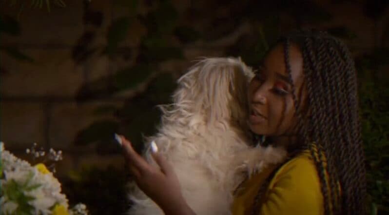 Kyallo Kulture episode 12 recap: Friendship, goodwill, and puppies!