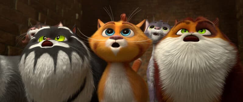 Cats in the Museum is on Showmax