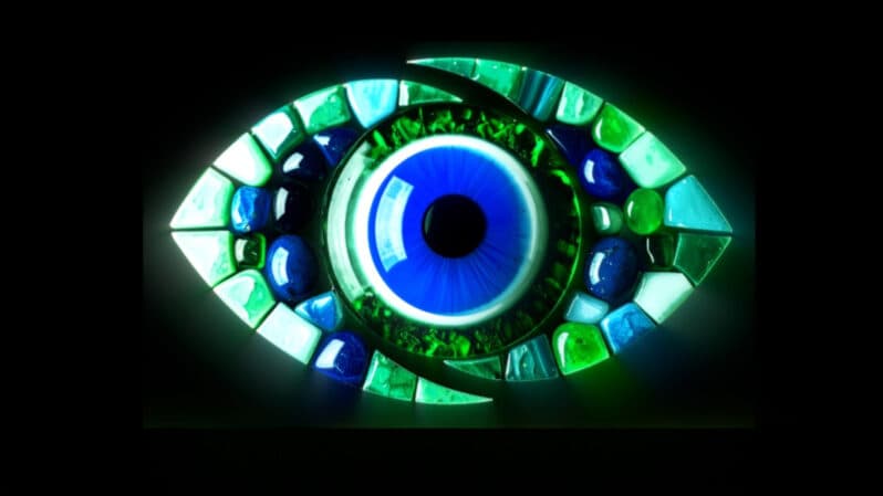 BBNaija S10 on Showmax