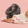 Chimp Crazy S1