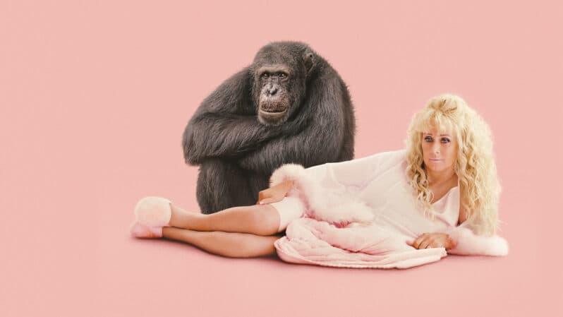 Chimp Crazy on Showmax