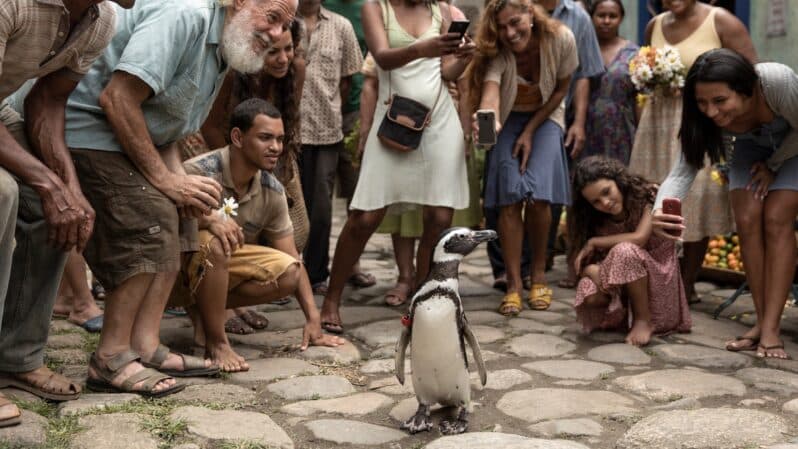 My Penguin Friend on Showmax