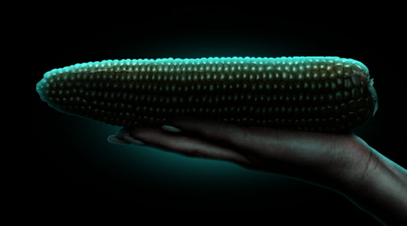 sex_in_afrikaans_showmax_mielie